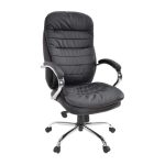 Fotoliu Birou BX-3679~Black