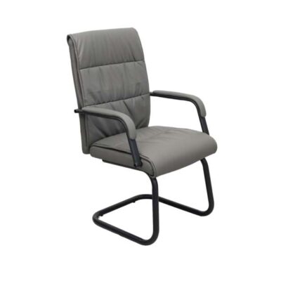 Scaun Birou F-81L~Grey + Black Legs