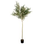 Arbore de Maslin 180